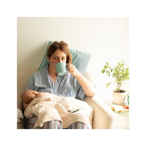 Nutrition for the Breastfeeding Mom