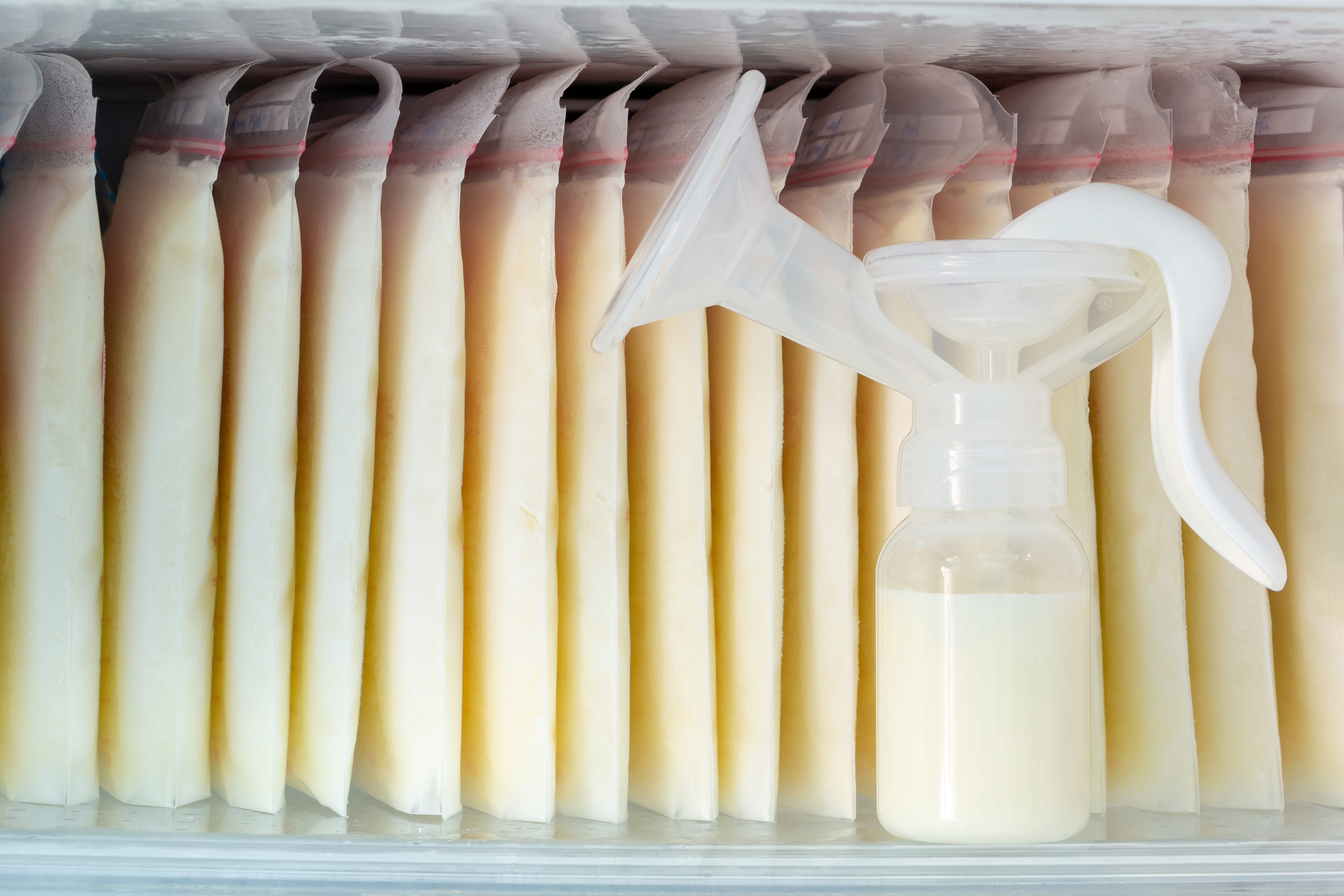 Lansinoh vs. Medela Breastmilk Storage Bags – The Memoirs of a mommy