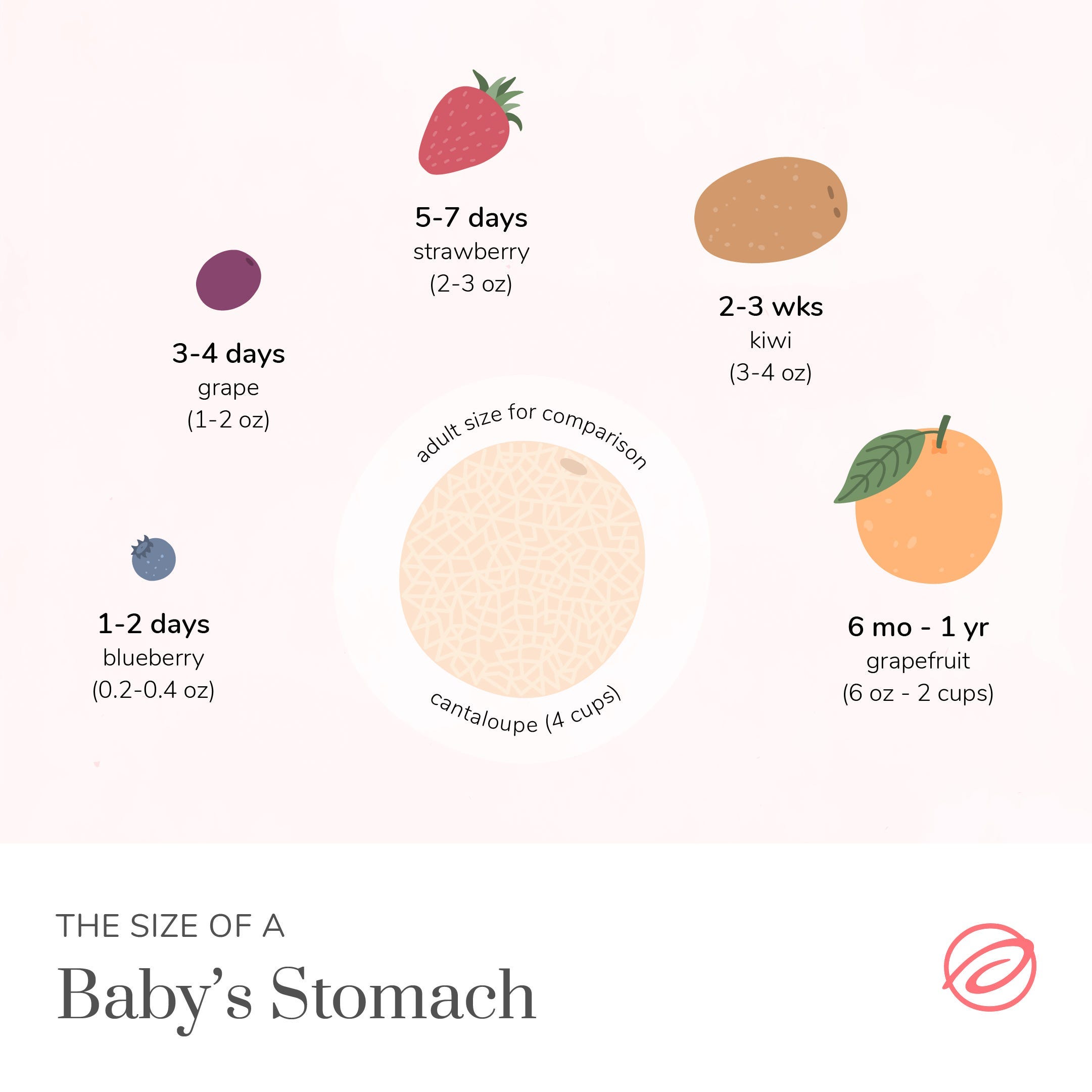 Stages of Breastfeeding Size Guide – Bodily