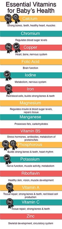 Vitamin Infographic