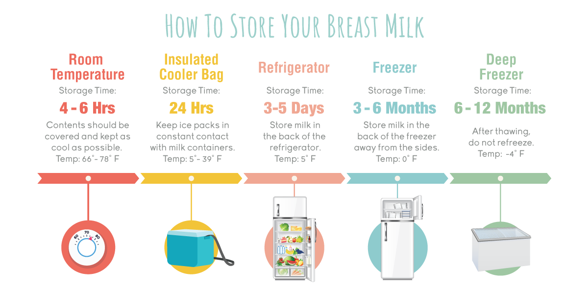 How long can breast milk be stored in the freezer Storing And Freezing Breast Milk